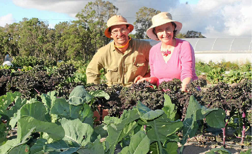 BEYOND LOCAL: Growers are keen to share their experiences of farming.
BEYOND LOCAL: Growers are keen to share their experiences of farming.